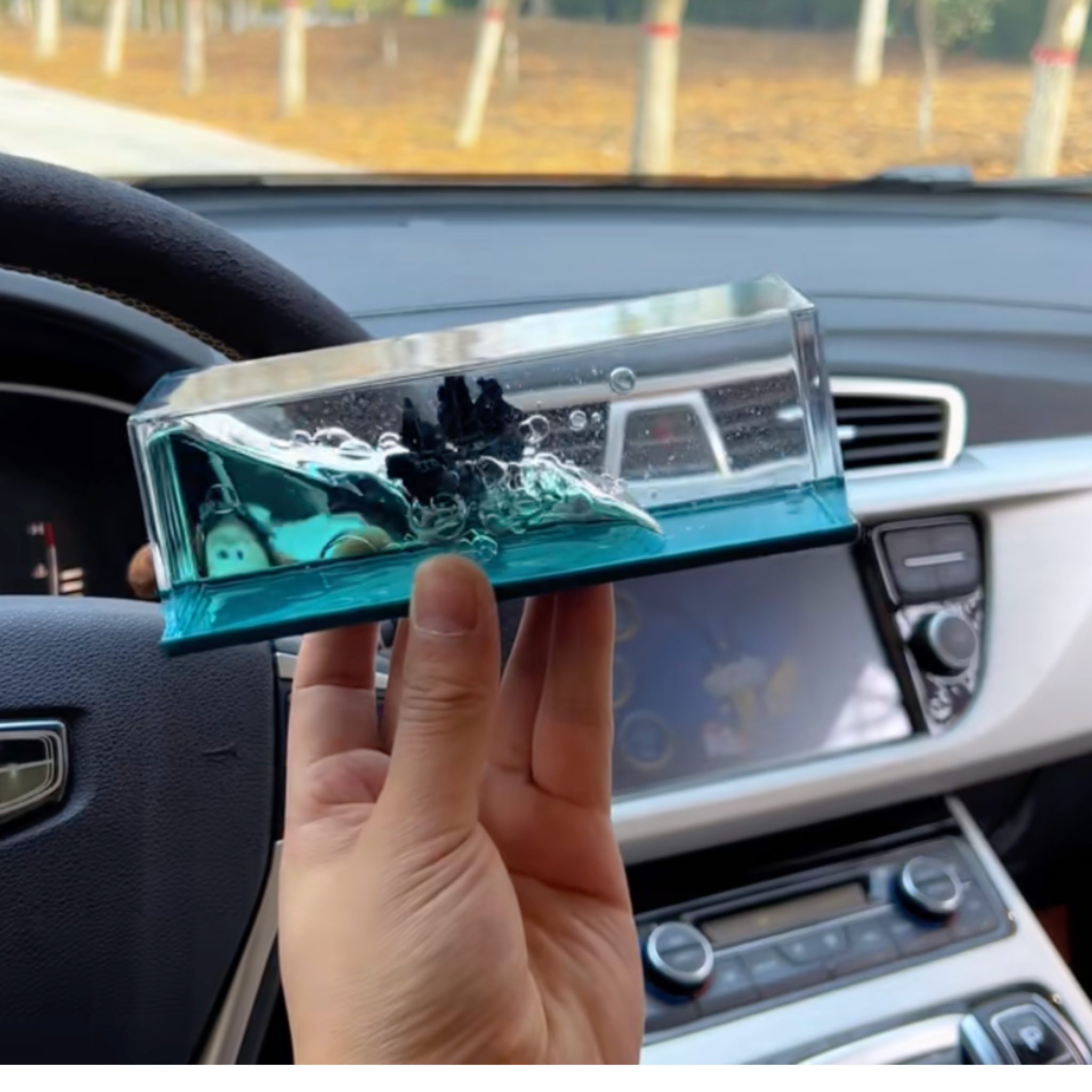 Black Pearl Ship – Freedom in Motion