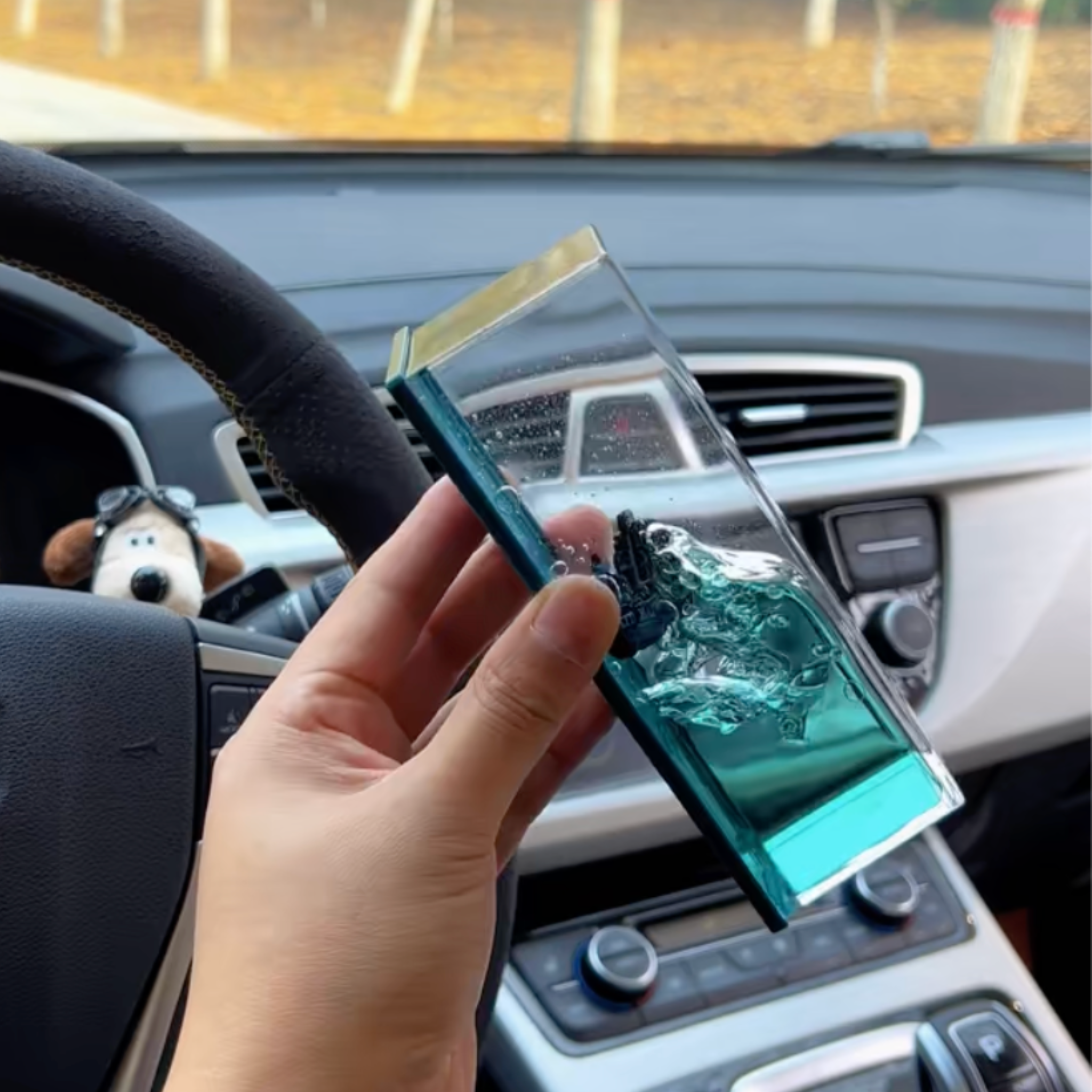 Black Pearl Ship – Freedom in Motion